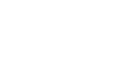 Firma Chris Dan, CEO